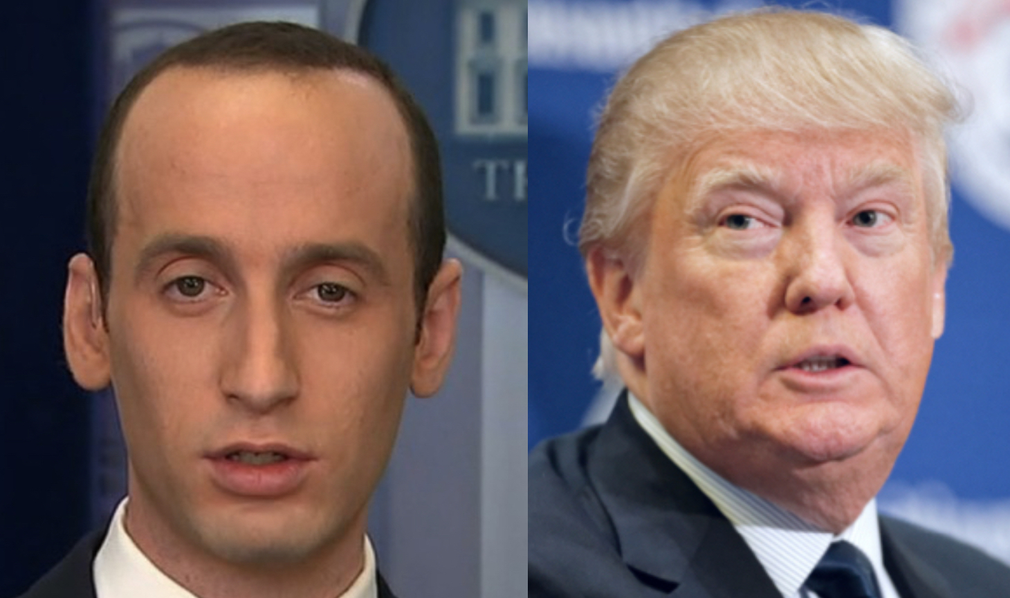 So that's what Stephen Miller was hiding - Palmer Report